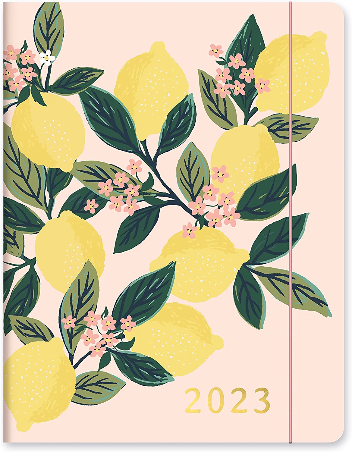 Orange Circle Studio Just Right 2022-2023 Monthly Planner - 17-Month Organizer with Full-Color Monthly Views, Storage Pocket & Elastic Closure - Lemon Tree - Image 1